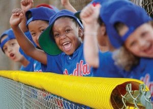 Baseball Fence Crown Corrugated
