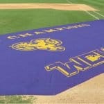 Catalog Baseball Infield Protector