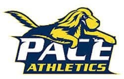 Pace-University-NY-Logo