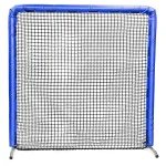 protective ryoal screen